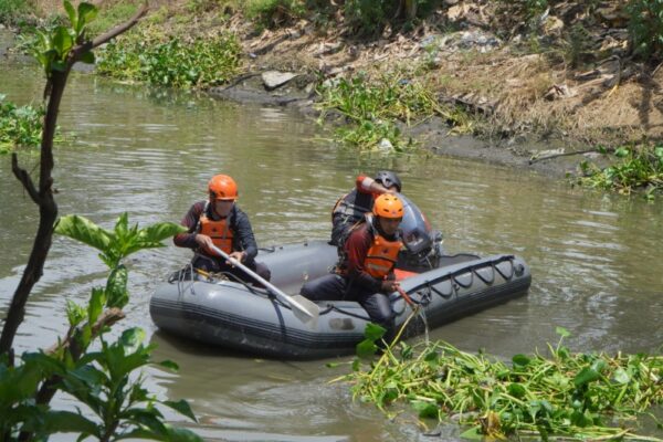 Pemkot Surabaya, Pemkab Sidoarjo dan BPBD Jatim Bersihkan Enceng Gondok di Sungai Gunung Anyar