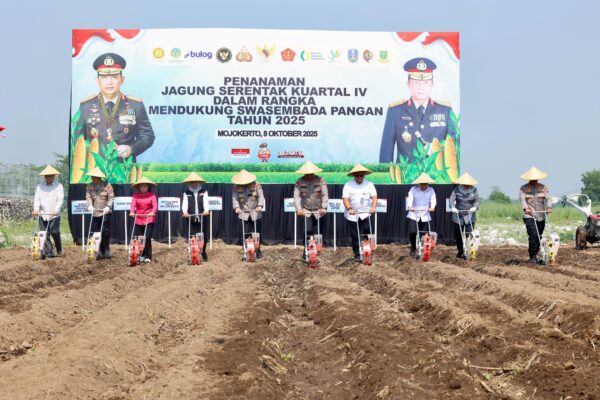Kapolda Jatim Pimpin Penanaman Jagung Serentak Kwartal IV di Mojokerto Pakai Benih Eco Bhayangkara